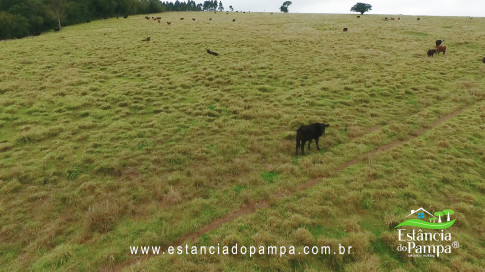 DA VARZEA ATE O GADO NA COXILHA.00_00_29_01.Quadro006_baf62159da313dc29fce564ec742af2d2087d7e4.jpg